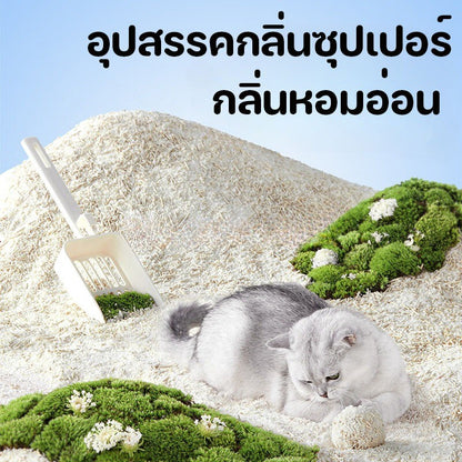 Mango รับฟรีพลั่ว🔥ทรายเต้าหู้ ออร์แกนิค100% ผลิตจากกากถั่วเหลืองธรรมชาติ ทรายแมว Cat Litter ทรายแมวเต้าหู้ (12 ลิตร)
