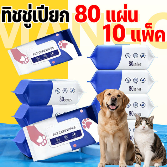 Mango ทิชชู่เปียก 80 แผ่น 10 แพ็ค แผ่นเช็ดตาสุนัขและแมว ทิชชู่เปียกเช็ด ทิชชู่เปียกสัตว์เลี้ยง สำหรับเช็ดสัตว์เลี้ยง Pet wipes