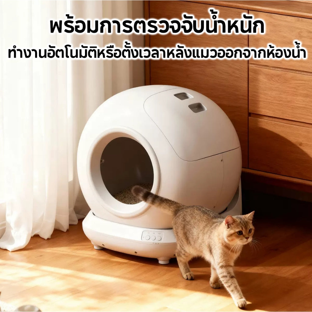 Mango ห้องน้ำแมวอัตโนมัติ 78L ขนาดใหญ่ ห้องน้ำแมวอัจฉริยะ ปลอดภัยไม่หนีบแมว การควบคุมระยะไกล APP มีภาษาไทยรองรับ