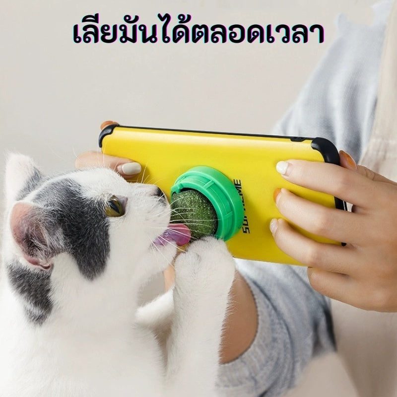 Mango กัญชาแมว😸หญ้าแมว กันชาแมว กัญชาเเมว แคทนิปแมว catnip ball กันชาแมวส่งฟรี กัชชาแมว กันชาแมวเลีย แคทนิปบอล ติดกำแพง