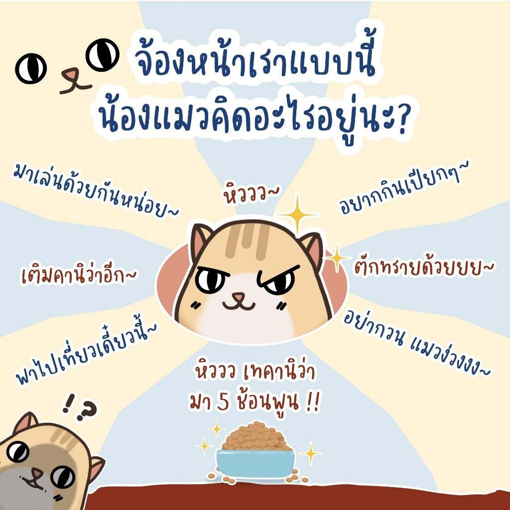 Mango อาหารแมว 1.2 กก.อาหารเม็ด อาหารแมวเกรดพรีเมี่ยม ย่อยง่าย ลดปัญหาท้องเสีย เหมาะสำหรับแมวทุกวัย✨อาหารเม็ดสำหรับเเมว