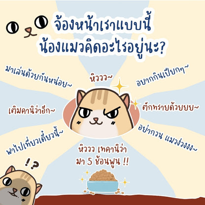 Mango อาหารแมว 1.2 กก.อาหารเม็ด อาหารแมวเกรดพรีเมี่ยม ย่อยง่าย ลดปัญหาท้องเสีย เหมาะสำหรับแมวทุกวัย✨อาหารเม็ดสำหรับเเมว