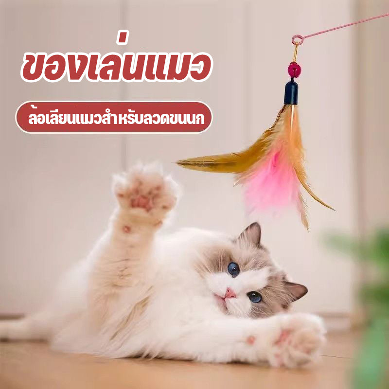 Mango ไม้ตกแมว ของเล่นแมว ของเล่นสัตว์เลี้ยง แบบสปริง ไม้ล่อแมว แบบลวดสลิง ไม้แมว ไม้แซวแมว มีขนนกและกระดิ่ง