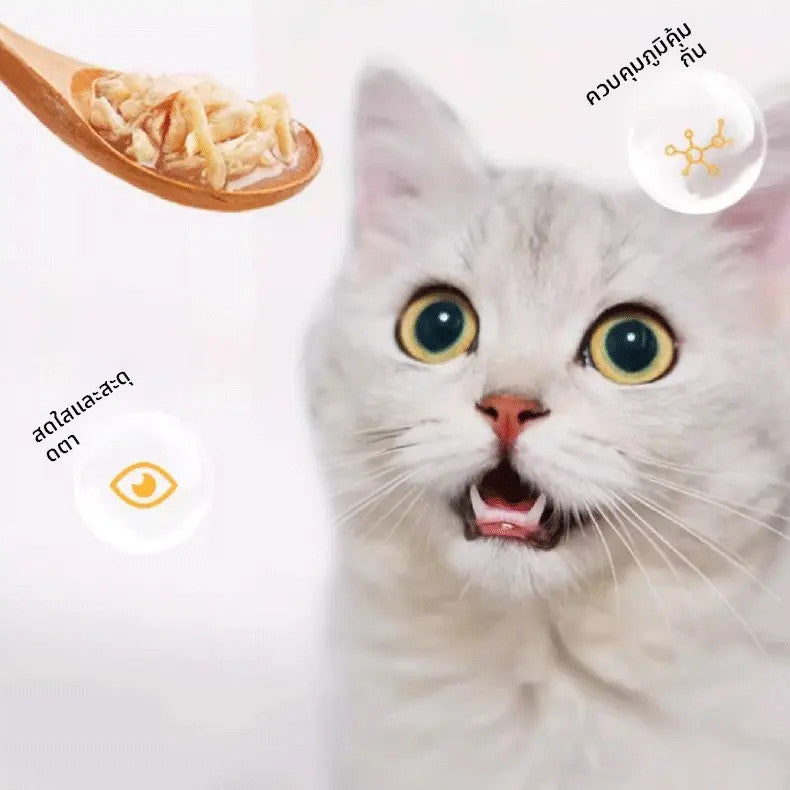 Mango อาหารแมวเปียก อาหารแมวกระป๋อง ขนมแมว เหมาะสำหรับแมวโตและลูกแมว โปรตีนสูง รสปลาทูน่า ไก่ ปลาแซลมอน กระป๋อง 85 กรัม ราคาถูก อร่อย น้อง แมวชอบมาก Cat Can