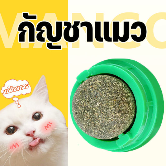 Mango ลูกบอลกัญชาแมว ติดกำแพงได้ ไม่กลิ้งหาย catnip ball แคทนิปแมว หญ้าแมว ของเล่นแมว ลดคราบหินปูน สําหรับสัตว์เลี้ยง