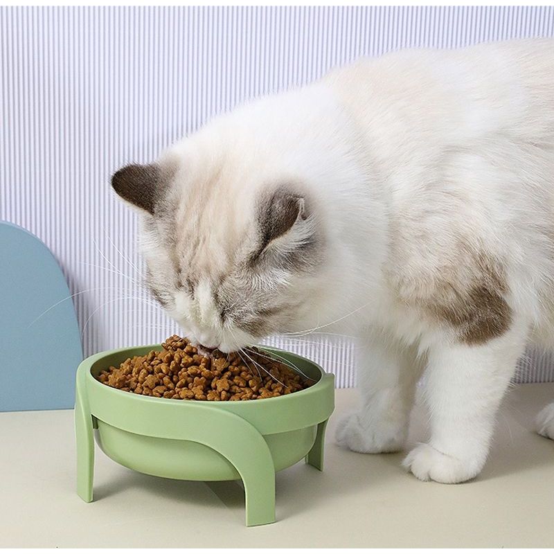 Mango ชามอาหารแมว🐱ชามอาหารทรงสูงชามวงกลมมีขา ช่วยเซฟหลัง ชามทรงสูงให้อาหารสำหรับสัตว์เลี้ยง ชามข้าวแมว ชามแมว ถาดอาหารแมว
