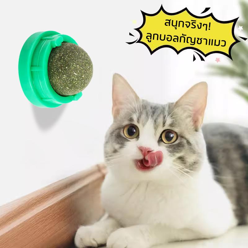 Mango กัญชาแมวหญ้าแมว 5ชิ้น ลูกบอลแคทนิป กันชาแมว กัญชาเเมว catnip ball แคทนิปบอล ของเล่นแมวเลีย ขนมแมวเลีย ของเล่นแมว