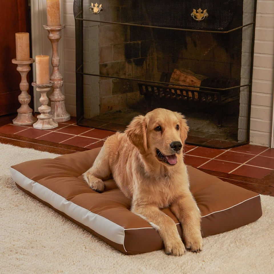 Mango พร้อมส่ง🔥เบาะสัตว์เลี้ยง กันน้ำกันรา100% Waterproof Pet Bed  ที่นอนหมา ที่นอนเเมว ที่นอนสุนัข เบาะหมาใหญ่
