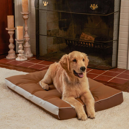 Mango พร้อมส่ง🔥เบาะสัตว์เลี้ยง กันน้ำกันรา100% Waterproof Pet Bed  ที่นอนหมา ที่นอนเเมว ที่นอนสุนัข เบาะหมาใหญ่