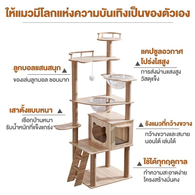 Mango คอนโดแมว ไม้แมวคอนโดแมว บ้านแมว รวมถึงแคปซูลอวกาศโปร่งใสเหมาะสำหรับเลี้ยงน้องแมว 3-5ตัว เสาลับเล็บ ขนาดใหญ่ สูง170CM