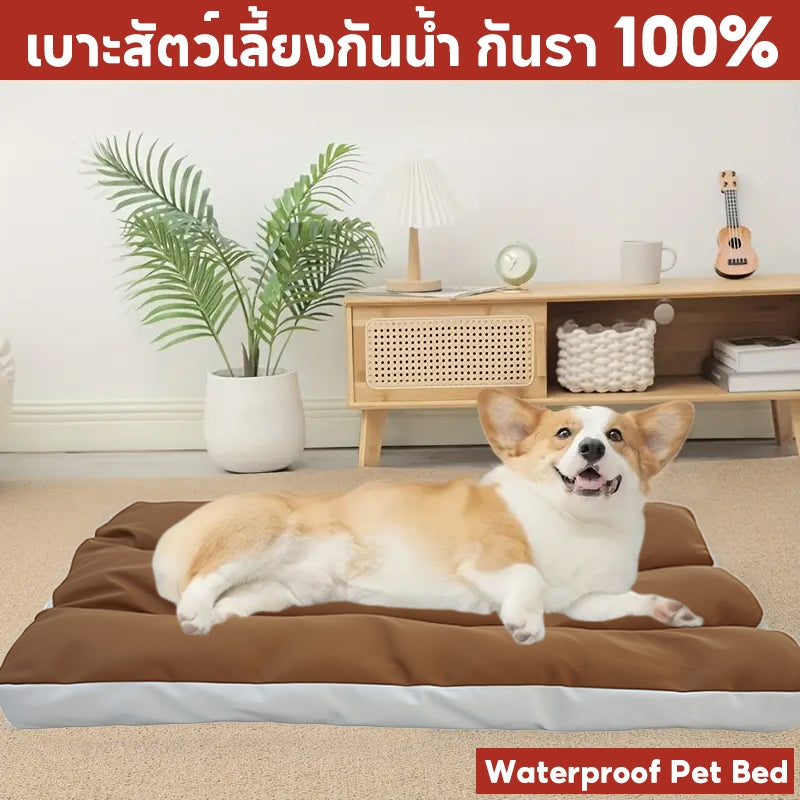 Mango พร้อมส่ง🔥เบาะสัตว์เลี้ยง กันน้ำกันรา100% Waterproof Pet Bed  ที่นอนหมา ที่นอนเเมว ที่นอนสุนัข เบาะหมาใหญ่