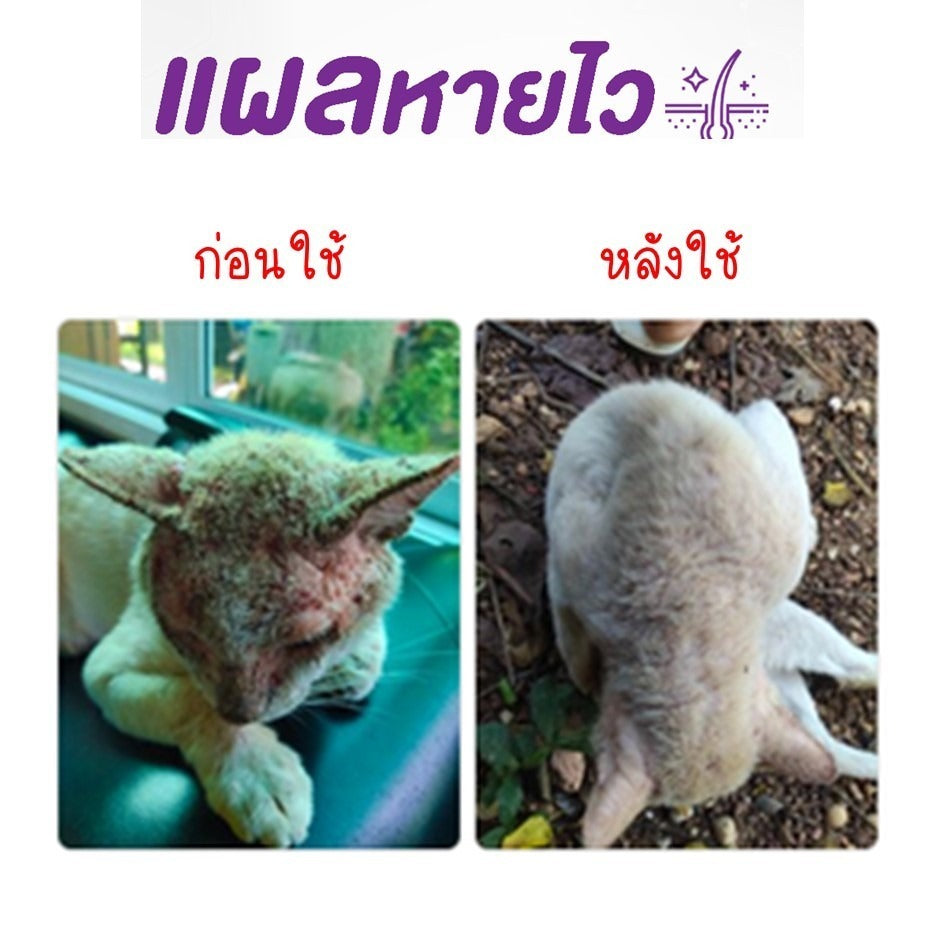 Mango สเปรย์กำจัดเห็บหมัด สเปรย์นาโน สเปรย์บรรเทาโรคผิวหนัง ไล่ ป้องกันเห็บหมัด ขี้เรื้อนสุนัข แมว เชื้อรา ยีสต์ คันเกา 50 ml.
