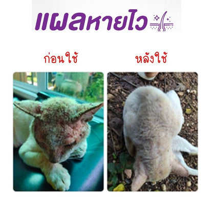 Mango สเปรย์กำจัดเห็บหมัด สเปรย์นาโน สเปรย์บรรเทาโรคผิวหนัง ไล่ ป้องกันเห็บหมัด ขี้เรื้อนสุนัข แมว เชื้อรา ยีสต์ คันเกา 50 ml.