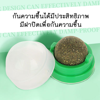 Mango กัญชาแมว😸หญ้าแมว กันชาแมว กัญชาเเมว แคทนิปแมว catnip ball กันชาแมวส่งฟรี กัชชาแมว กันชาแมวเลีย แคทนิปบอล ติดกำแพง