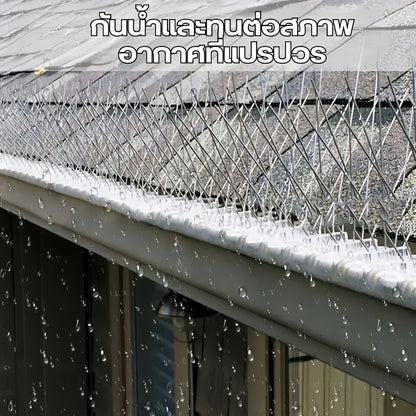 Mango หนามกันนก ไล่นกพิราบ ที่ดักนก หนาม 20 คู่ กันนกพิราบ Bird Spikes กันนกเกาะ อุปกรณ์ไล่นกทำรัง ทนทาน