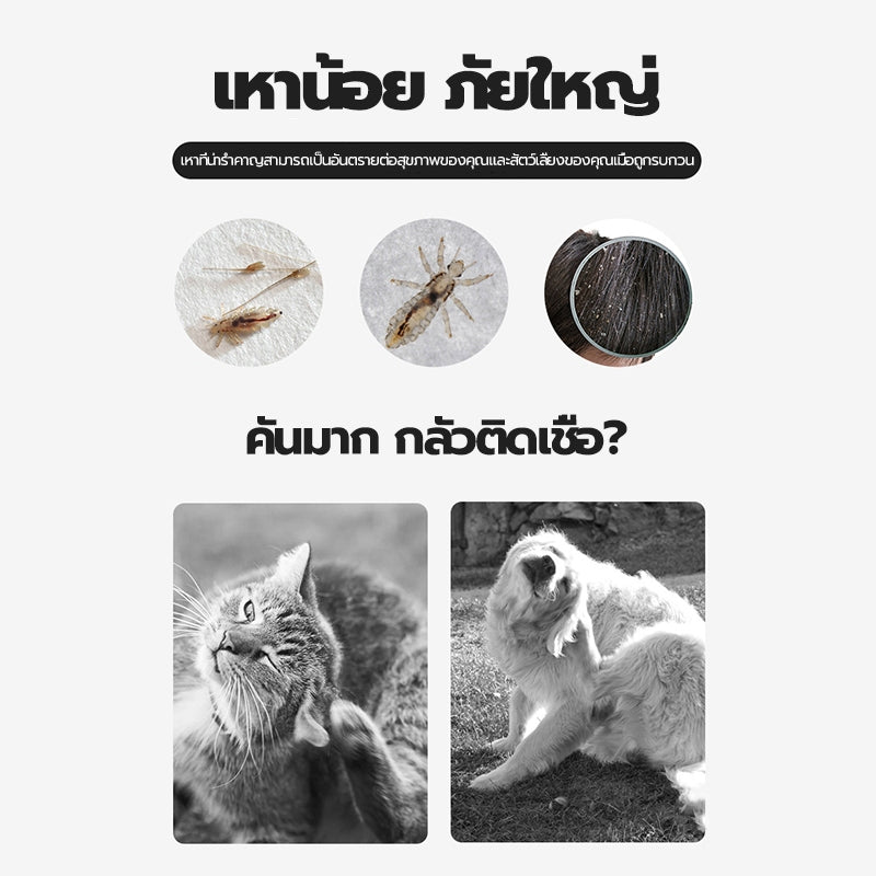 Mango หวีสแตนเลส หวีซี่ ด้ามจับพลาสติก สำหรับหมา แมว หวีปมขน หวีสางขนสัตว์เลี้ยง อุปกรณ์ดูแลขนสุนัข แมว หวี  สาง สัตว์เลี้ยง ขน