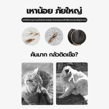 Mango หวีสแตนเลส หวีซี่ ด้ามจับพลาสติก สำหรับหมา แมว หวีปมขน หวีสางขนสัตว์เลี้ยง อุปกรณ์ดูแลขนสุนัข แมว หวี  สาง สัตว์เลี้ยง ขน