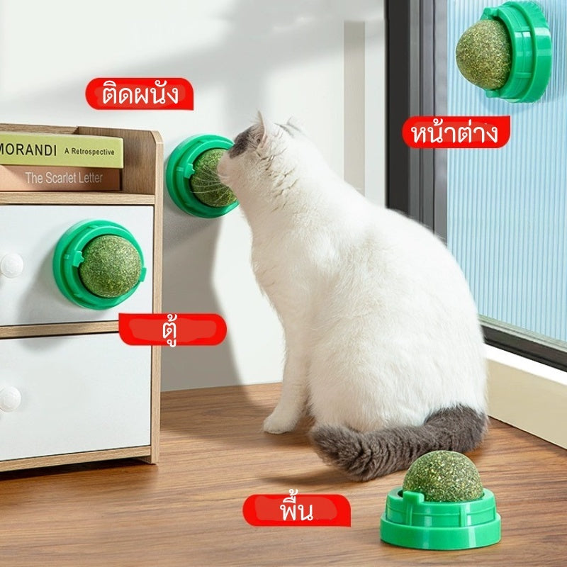 Mango กัญชาแมว😸หญ้าแมว กันชาแมว กัญชาเเมว แคทนิปแมว catnip ball กันชาแมวส่งฟรี กัชชาแมว กันชาแมวเลีย แคทนิปบอล ติดกำแพง