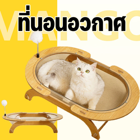 Mango ขนาดใหญ่พิเศษ🔥หลุมอวกาศแมว หลุมแมว แบบใส ที่นอนสัตว์เลี้ยง ของเล่น 2in1 หลุมอะคริลิค ที่นอนอวกาศ งานไม้แข็งแรง ถอดออกได้