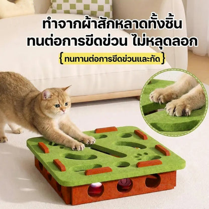 Mango ของเล่นแมว ของเล่นแมวแบบโต้ตอบ สัตว์เลี้ยงปริศนาเขาวงกต กล่องผ้าสักหลาด+ลูกบอลแคทนิป เล่นได้สนุกไม่มีเบื่อ ทนทาน แข็งแรง แถมฟรีลูกบอลกระดิ่งสำหรับแมว 2 ลูก
