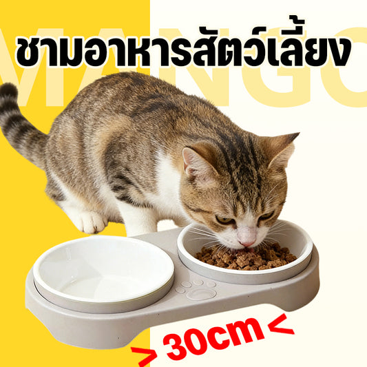 Mango ชามข้าวสัตว์เลี้ยง ชามอาหารสัตว์กันมด 2 ช่อง สำหรับน้องหมาน้องแมว พลาสติกปลอดภัย ความจุใหญ่ ถอดล้างง่าย ชามอาหารแมวกันมด ชามอาหารสุนัขกันมด