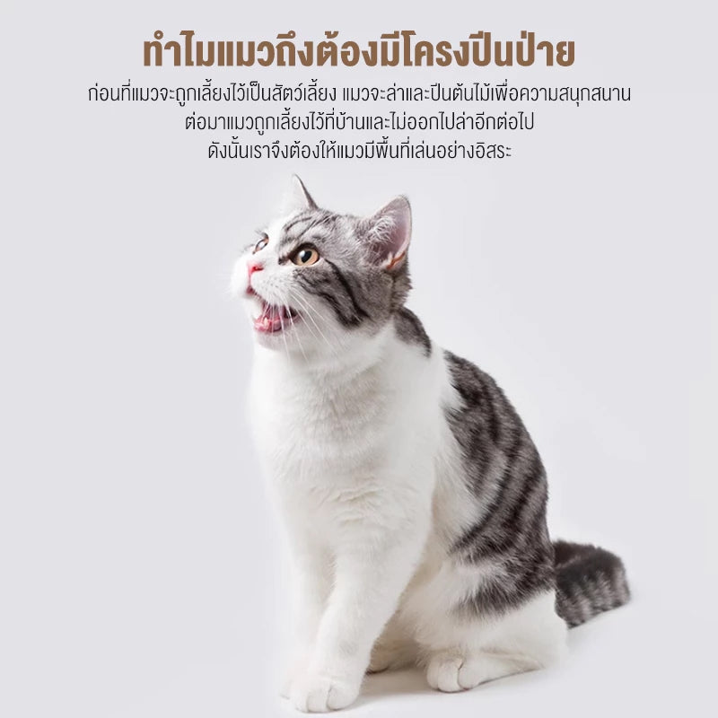 Mango คอนโดแมว ไม้แมวคอนโดแมว บ้านแมว รวมถึงแคปซูลอวกาศโปร่งใสเหมาะสำหรับเลี้ยงน้องแมว 3-5ตัว เสาลับเล็บ ขนาดใหญ่ สูง170CM
