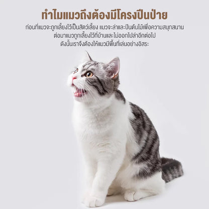Mango คอนโดแมว ไม้แมวคอนโดแมว บ้านแมว รวมถึงแคปซูลอวกาศโปร่งใสเหมาะสำหรับเลี้ยงน้องแมว 3-5ตัว เสาลับเล็บ ขนาดใหญ่ สูง170CM
