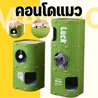 Mango คอนโดแมว 2-3 ชั้น บ้านแมว ดีไซน์ญี่ปุ่น มีรู ปีนเล่นได้ บ้านสัตว์เลี้ยง ขนาดใหญ่ ทนทาน ของเล่นแมวหลายชั้น