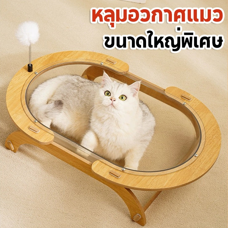Mango ที่นอนแมว หลุมอวกาศแมว หลุมอวกาศ โปร่งใส อะคริลิก 61x41ซม นุ่มสบาย เฟอร์นิเจอร์แมว บ้านแมว