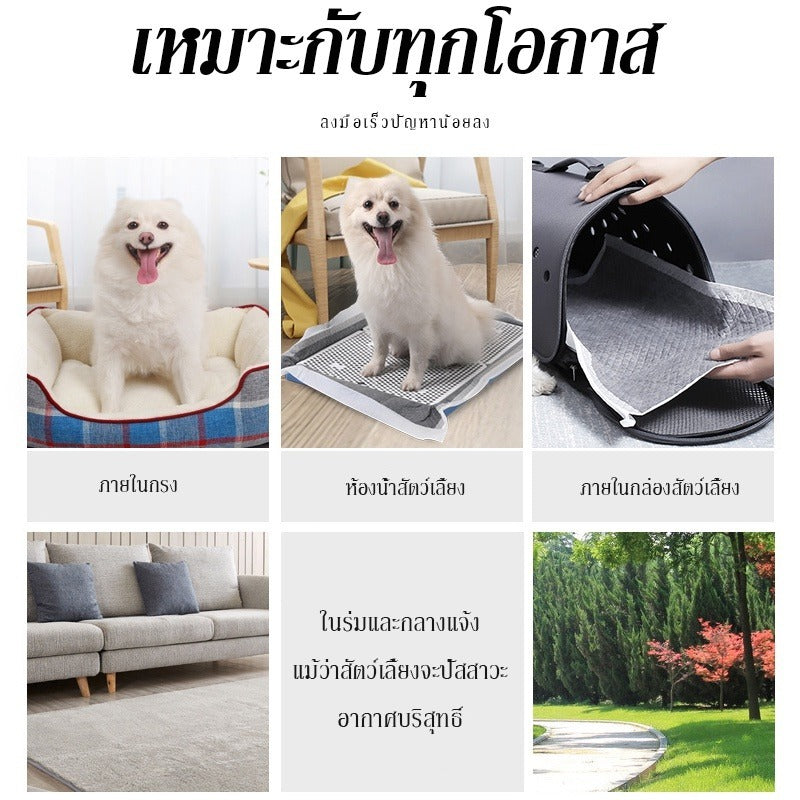 Mango แผ่นรองฉี่สุนัข🐶ชาร์โคล(หนาขึ้น) รุ่นชาโคล แผ่นรองฉี่แมว ช่วยฝึกขับถ่าย การดูดซับน้ำ6ชั้น ระงับกลิ่นได้ดี