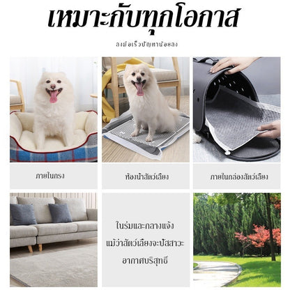 Mango แผ่นรองฉี่สุนัข🐶ชาร์โคล(หนาขึ้น) รุ่นชาโคล แผ่นรองฉี่แมว ช่วยฝึกขับถ่าย การดูดซับน้ำ6ชั้น ระงับกลิ่นได้ดี