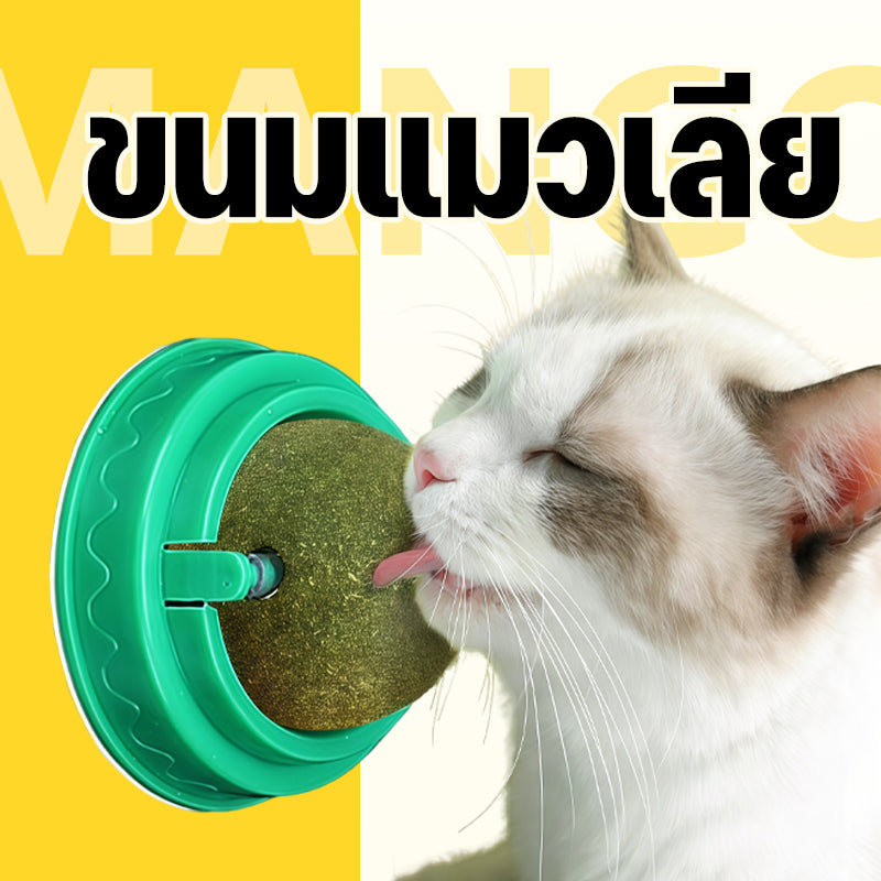 Mango กัญชาแมว😸หญ้าแมว กันชาแมว กัญชาเเมว แคทนิปแมว catnip ball กันชาแมวส่งฟรี กัชชาแมว กันชาแมวเลีย แคทนิปบอล ติดกำแพง