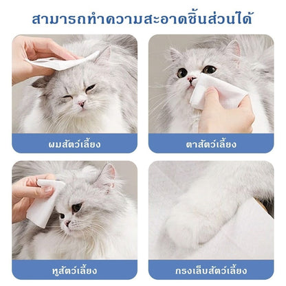 Mango 10 แพ็ค🐾ทิชชู่เปียกสัตว์เลี้ยง 120แผ่น สูตรอ่อนโยน ไม่มีแอลกอฮอล์ เช็ดตา/หู/ตัว อ่อนโยน เส้นใยธรรมชาติ 100%