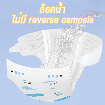 Mango ผ้าอ้อมสัตว์เลี้ยง, ผ้าอ้อมสุนัขทิ้งเปลี่ยนแผ่น, ผลิตภัณฑ์สำหรับสัตว์เลี้ยงสำหรับผู้ชายและผู้หญิง, ผ้าอ้อมสุนัข, ผ้าอ้อมสัตว์เลี้ยง