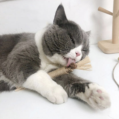 Mango ไม้แมวเมา อันใหญ่ ไม้ขัดฟันแมว ของเล่นแมว ลดคราบหินปูน กัญชาแมว ของเล่นทำความสะอาดฟันแมว หวายทำความสะอาดฟัน