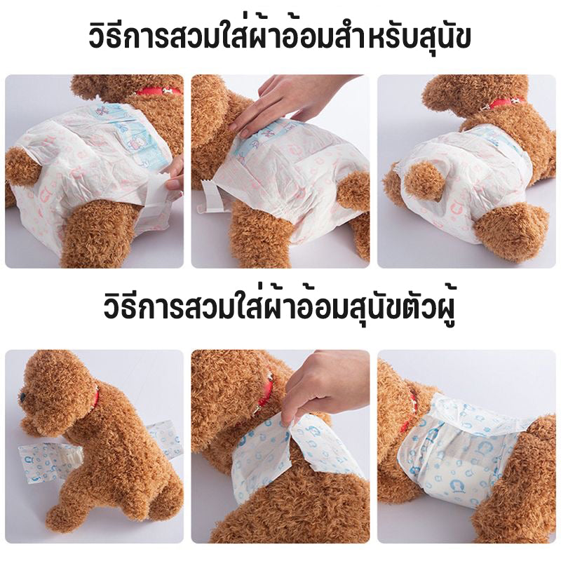 ผ้าอ้อมสุนัขทิ้ง, ชุดอุปกรณ์สัตว์เลี้ยงสำหรับผู้ชายและผู้หญิง, ผ้าอ้อมสัตว์เลี้ยง, ผ้าอ้อมสุนัข, มีหลายขนาด