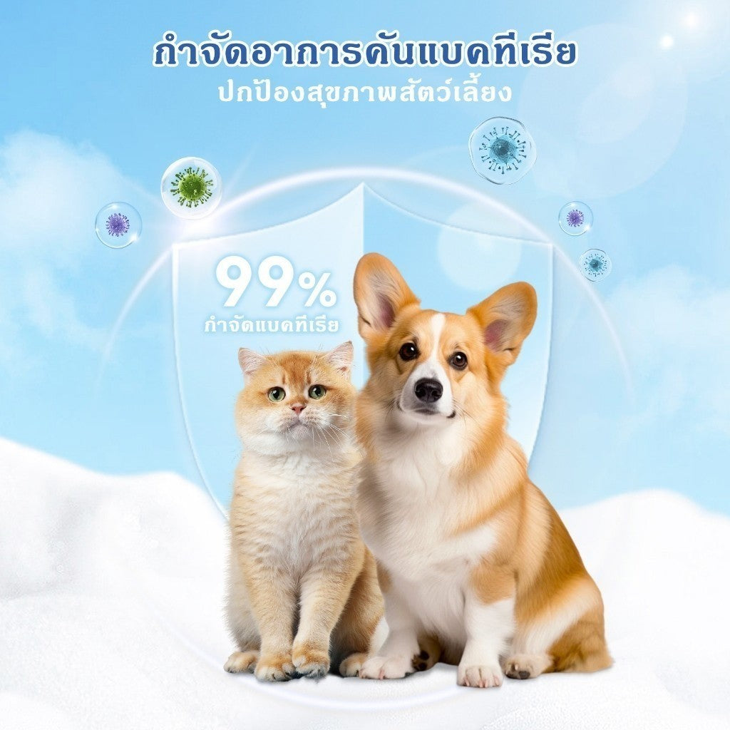 Mango 10 แพ็ค🐾ทิชชู่เปียกสัตว์เลี้ยง 120แผ่น สูตรอ่อนโยน ไม่มีแอลกอฮอล์ เช็ดตา/หู/ตัว อ่อนโยน เส้นใยธรรมชาติ 100%