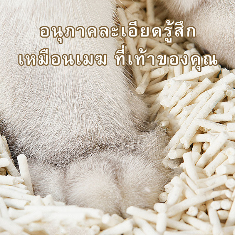 Mango ทรายแมวเต้าหู้ 6L ทรายแมว ทรายแมวผสม ทรายแมวเต้าหู้ รายเต้าหู้แมว ผลิตจากกากถั่วเหลืองธรรมชาติรสชาติ
